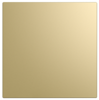 Панель декоративная DiCiTi AEON D100/125 175х175 пластик Champagne